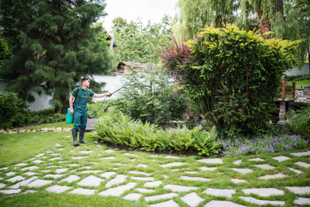 Professional Pest Control in Franklin, TN