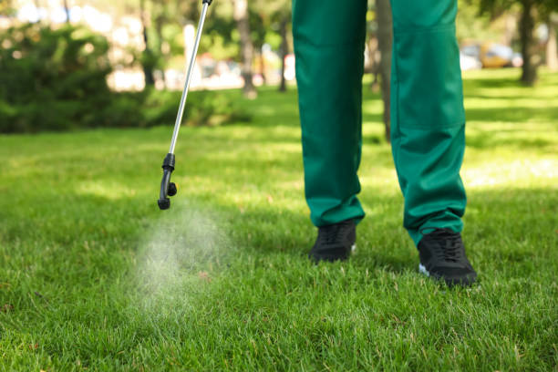 Best Pest Control Near Me  in Franklin, TN