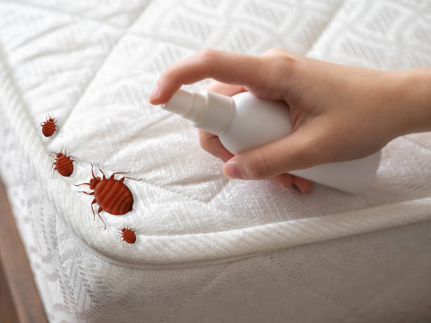 Pest Control Cost in Franklin, TN