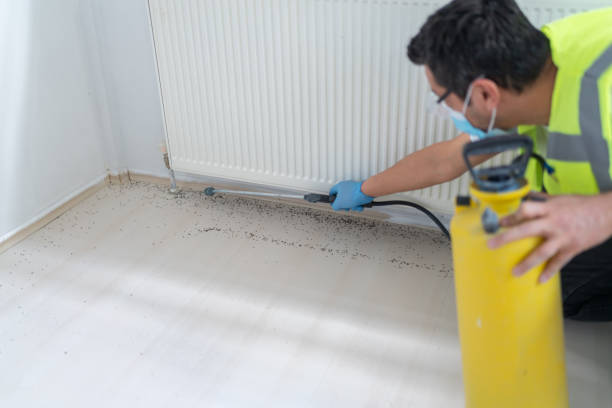 Best Emergency Pest Control  in Franklin, TN