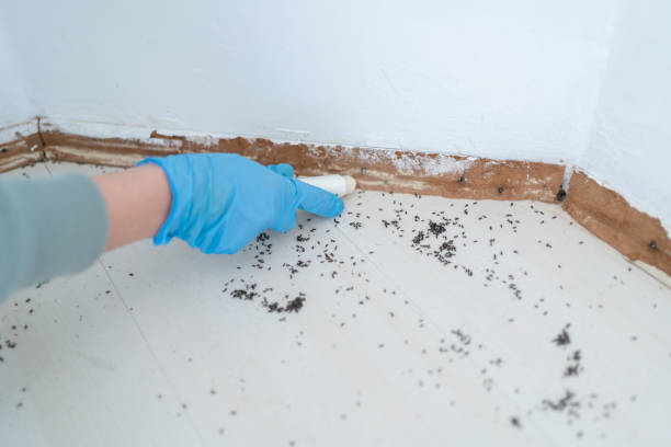 Best Pest Removal Services  in Franklin, TN