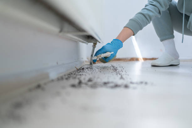 Best Mosquito Control Services  in Franklin, TN